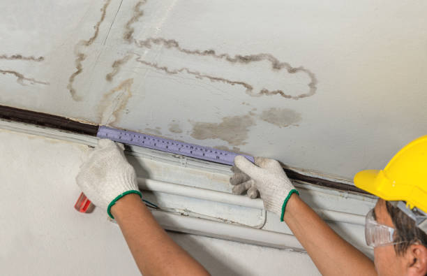 Reliable Water Damage contractor in Fulshear, TX by Water Damage Irwin